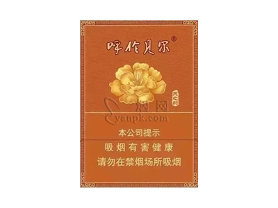 呼伦贝尔(天之韵)